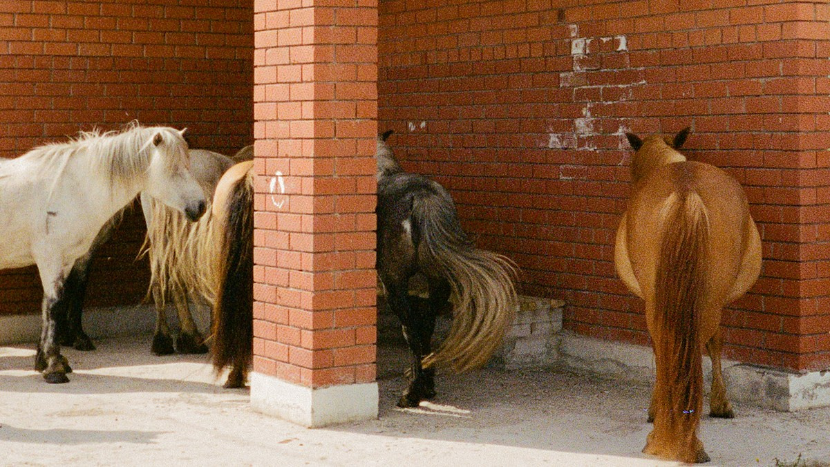 Документальный фотограф Роман Золотков. ZOLOTKOV — Барбер в Санкт-Петербурге Роман Золотков