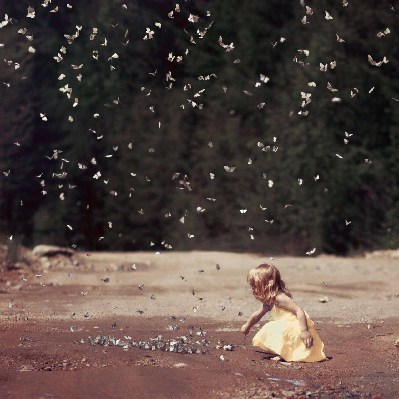 BUTTERFLIES. Арт-фотограф и преподаватель Анна Гражданкина