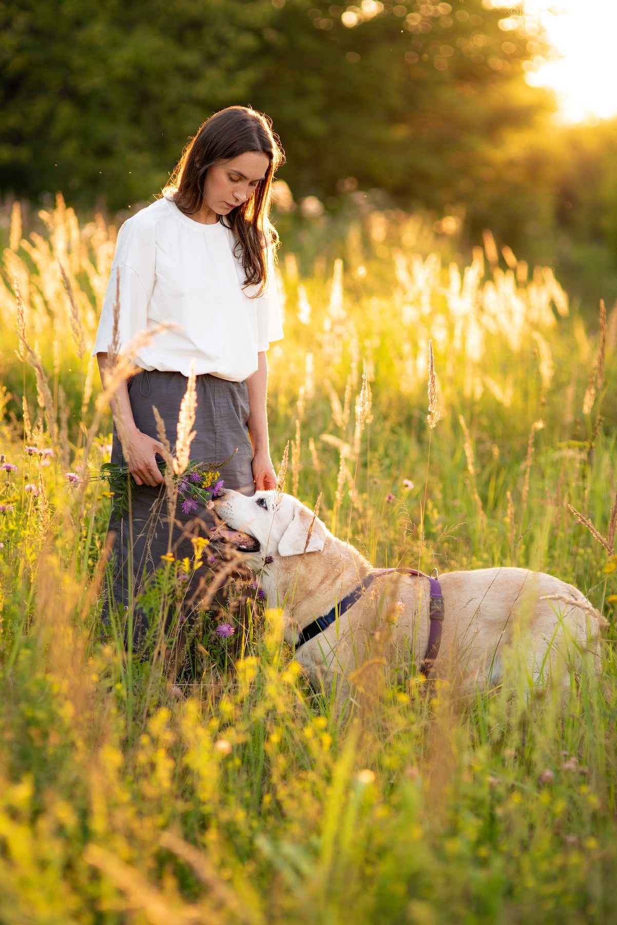 Фотосессия с собакой. Фотограф собак в Москве и Московской области Иванушкина Мария