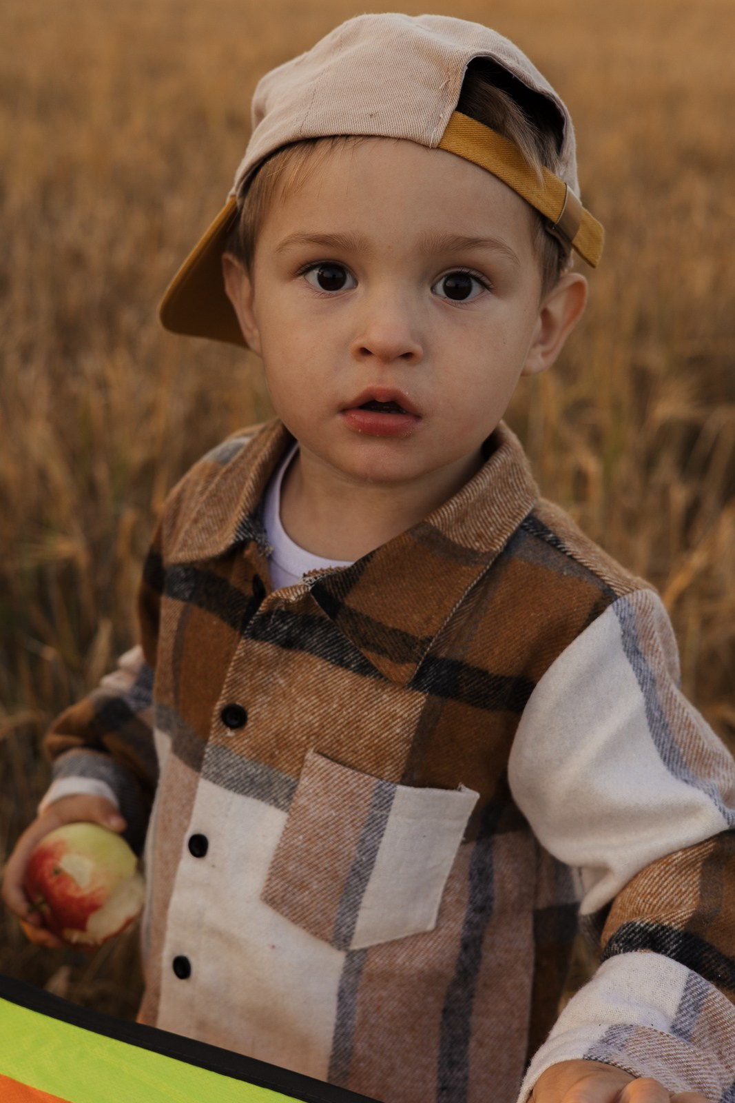 Семья в поле. Фотограф в Москве и Домодедово Ирина Коростелева