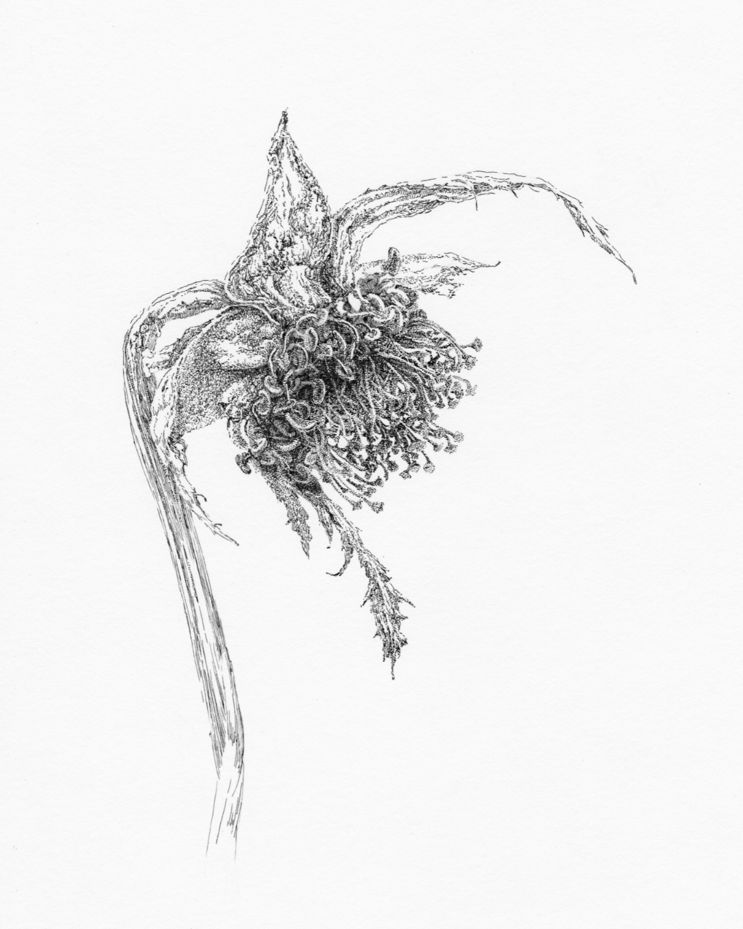 After Bouquet. Rose. 1. Nadezhda Polomoshnova, fine artist in Charleston