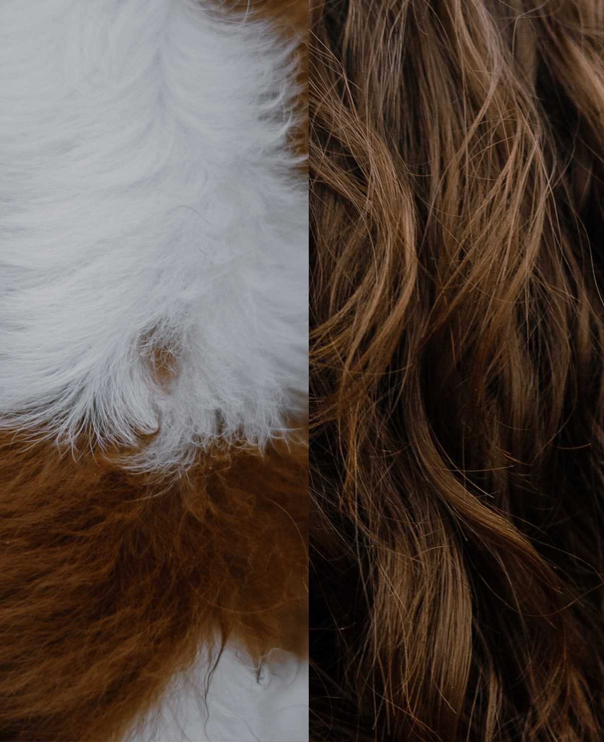 Маша и Дарси. Фотограф-анималист Богданова Полина