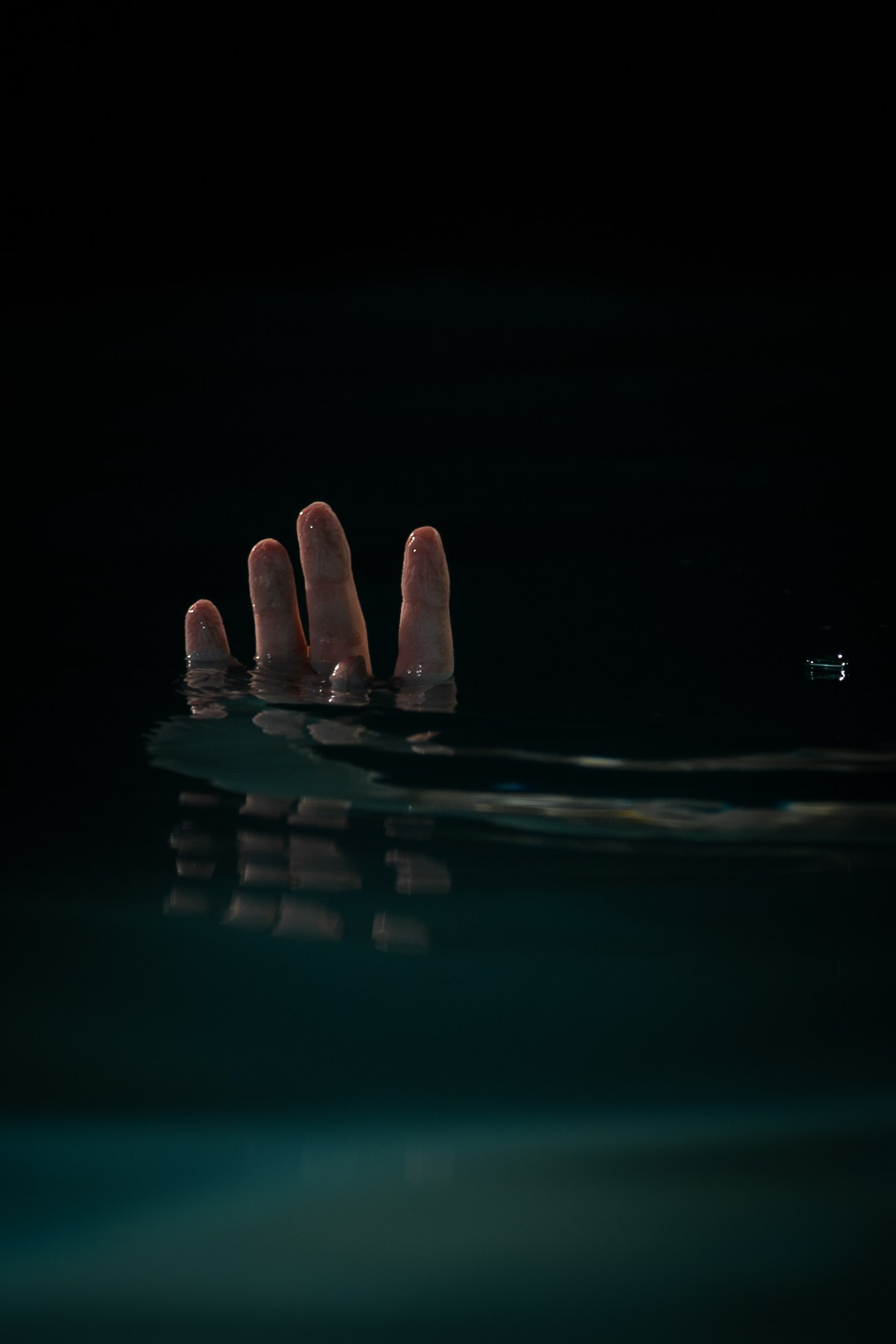 Purgatio Intus. Polypolarphotography