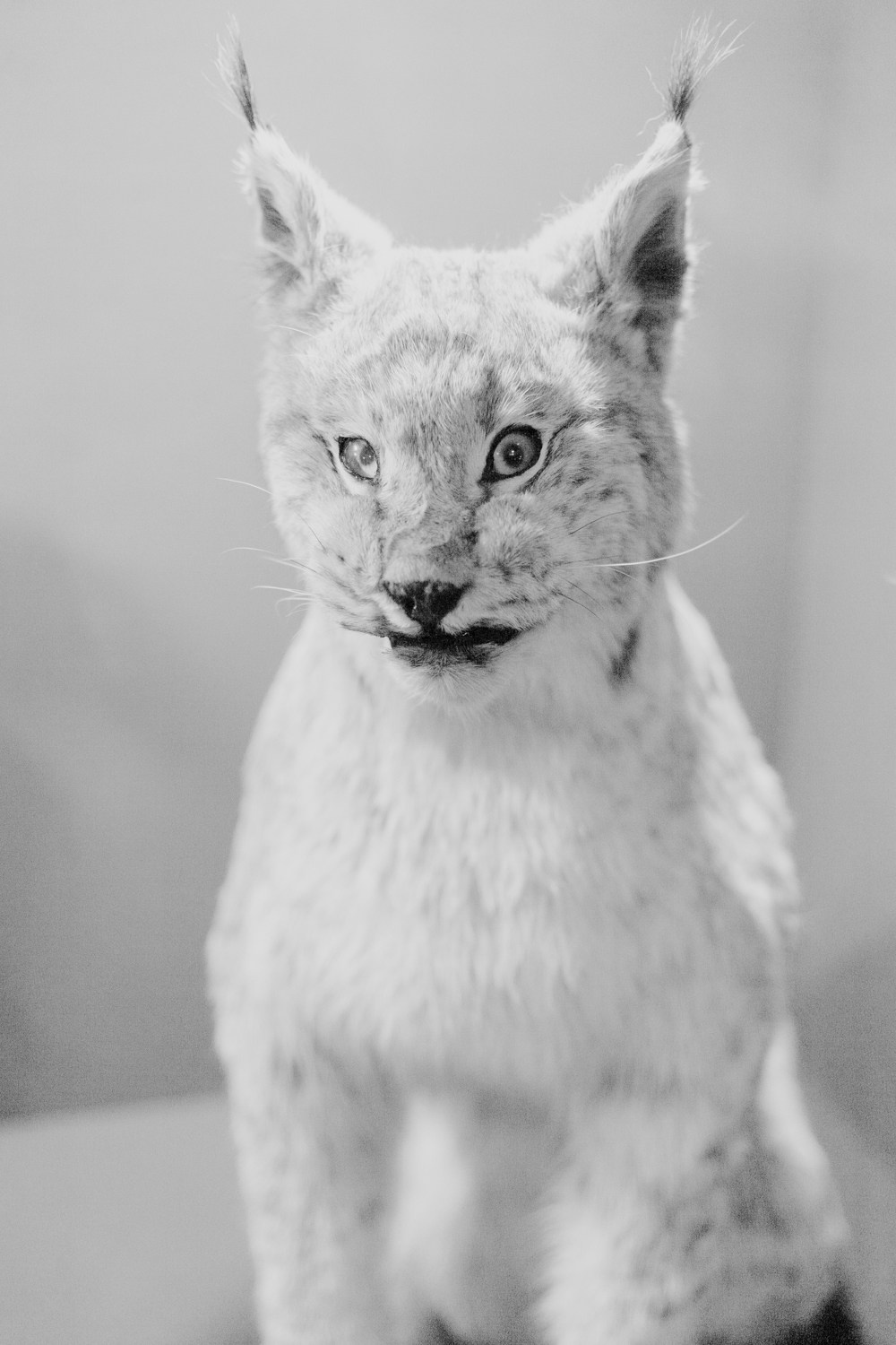 Train to the Future. Kristina Sergeeva