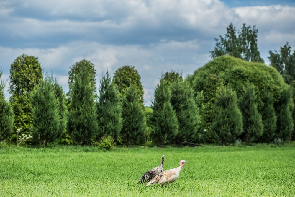Путешествия. Фотограф Александр Ямпольский