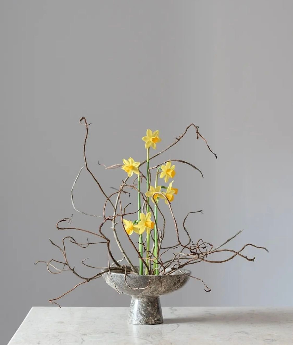 Авторская флористика. CKflora