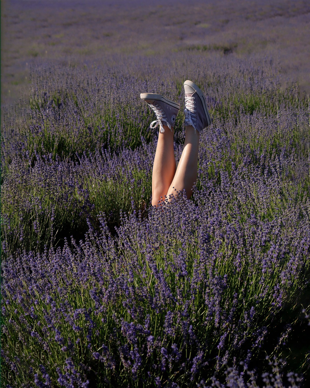Александра — lavender '06'24. Фотограф в Пятигорске и Севастополе — индивидуальные и семейные фотосессии | Si_Ola