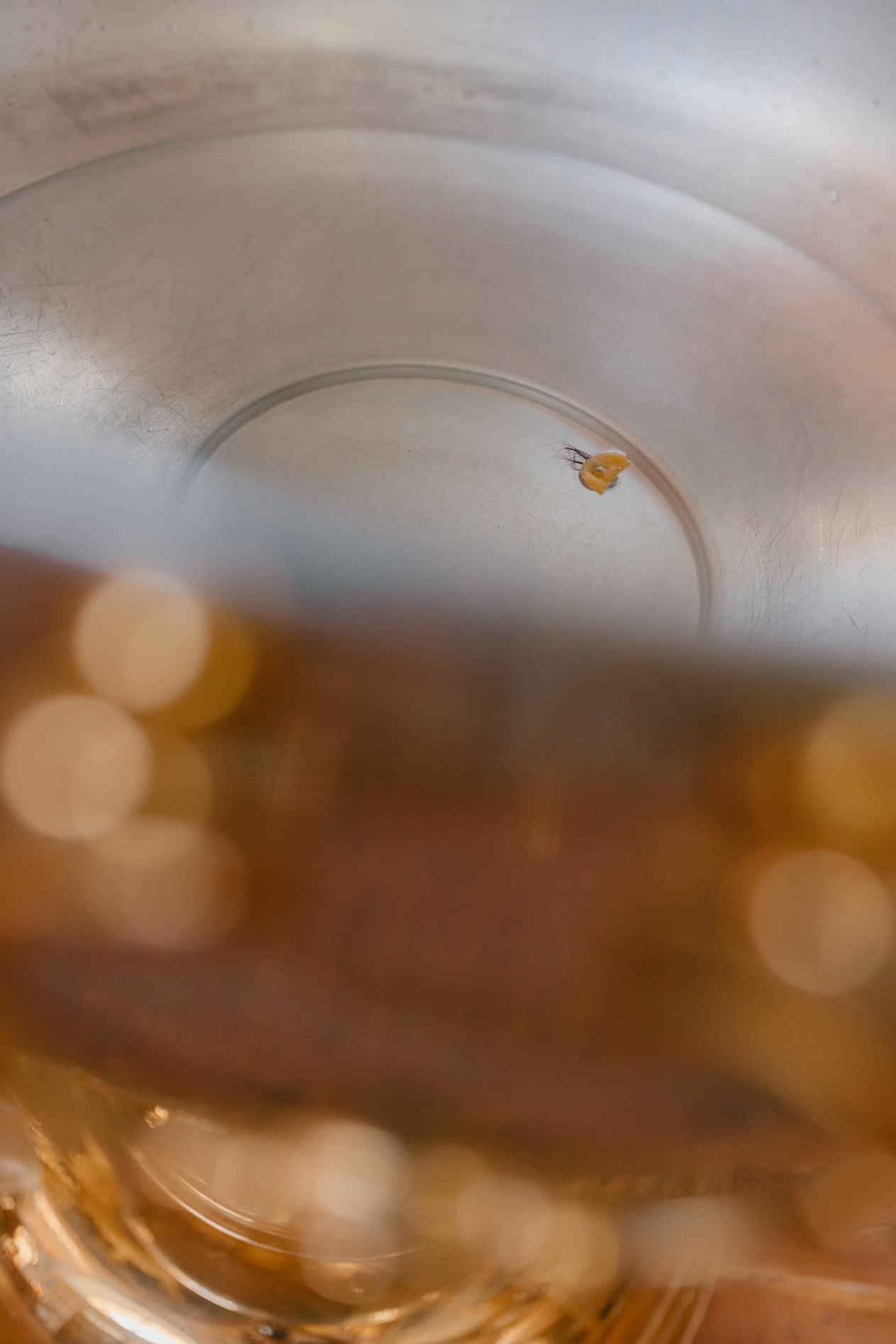 Храм в честь Рождества Пресвятой Богородицы. Семейный и детский фотограф |Брянск| Анастасия Перепелкина