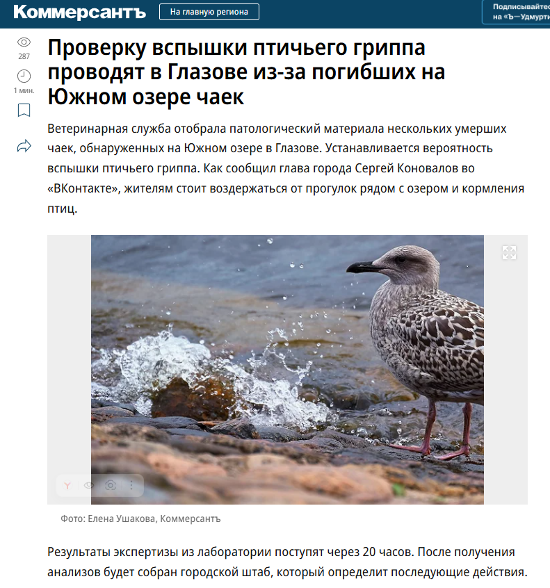 Публикации в СМИ. Событийный фотограф в Санкт — Петербурге Елена Ушакова