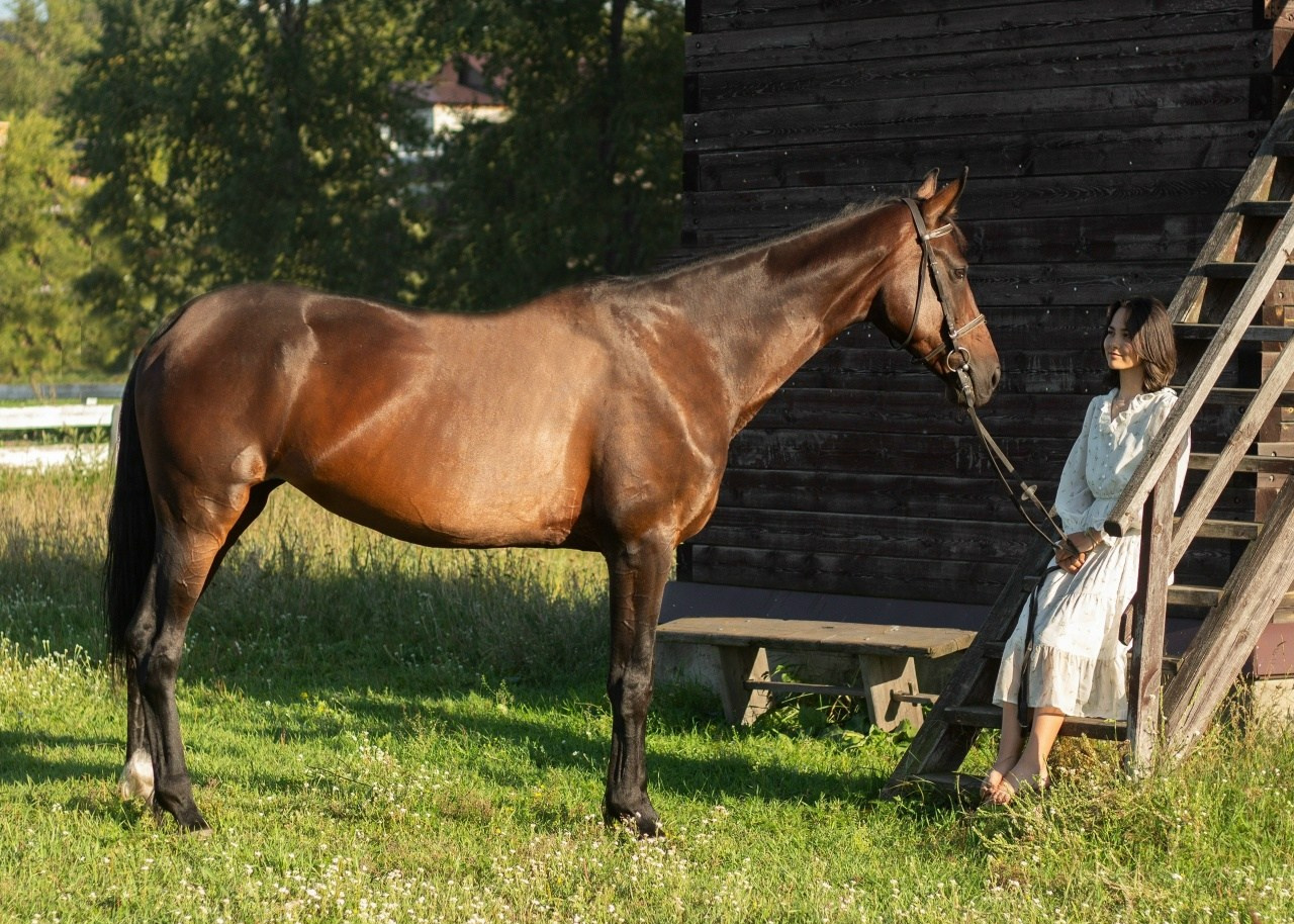 Полина и Хабанера. Фотограф в Иркутске, Харитонова Елизавета