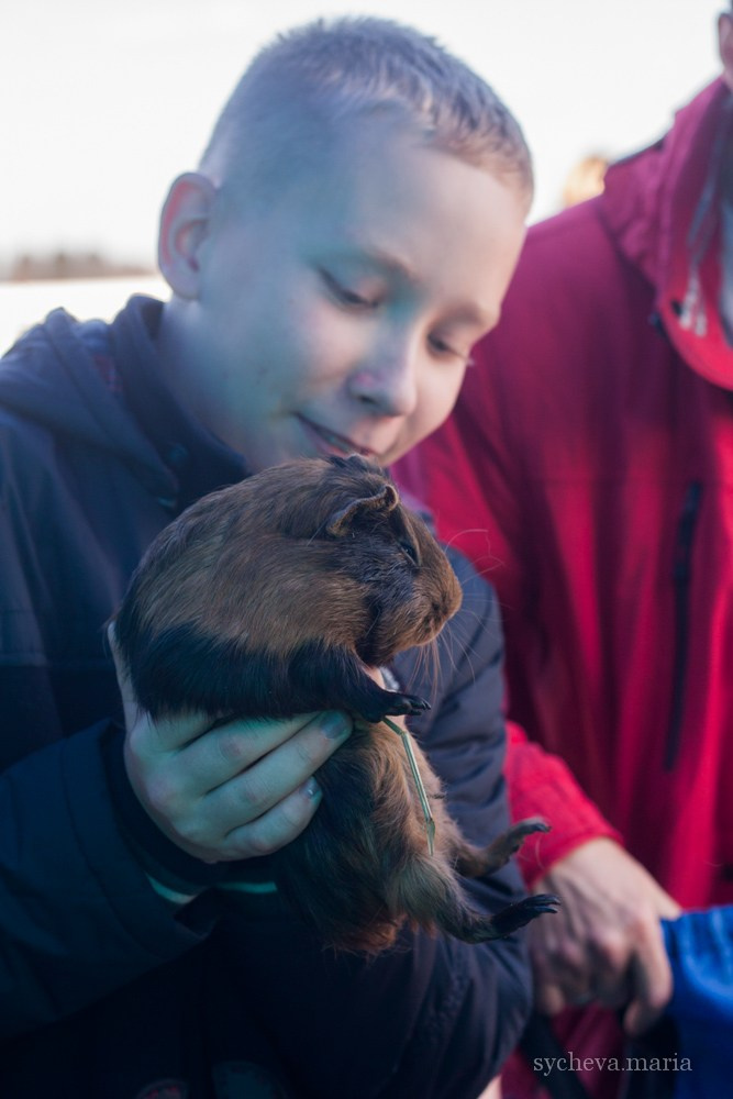 Ярмарка талантов. Детский и семейный фотограф, фотограф мероприятий Нижний Новгород