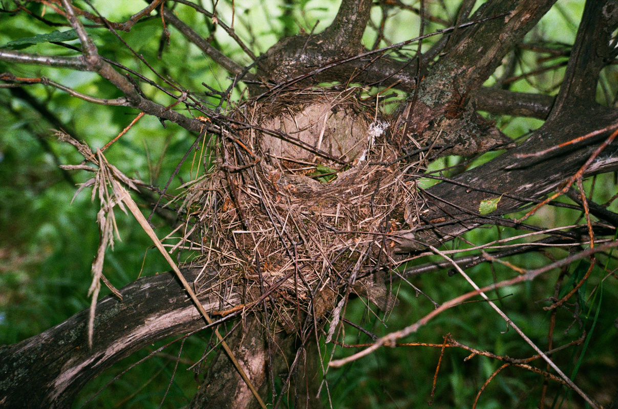 — Stepmother. Lena Ovchinnikova