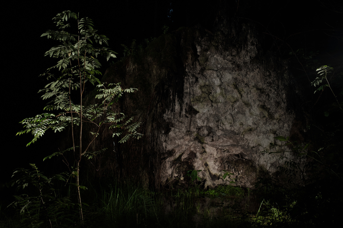 — Stepmother. Lena Ovchinnikova