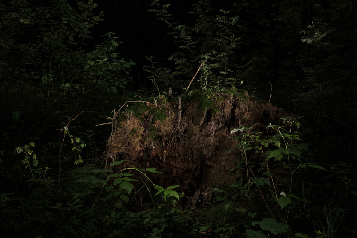 — Stepmother. Lena Ovchinnikova