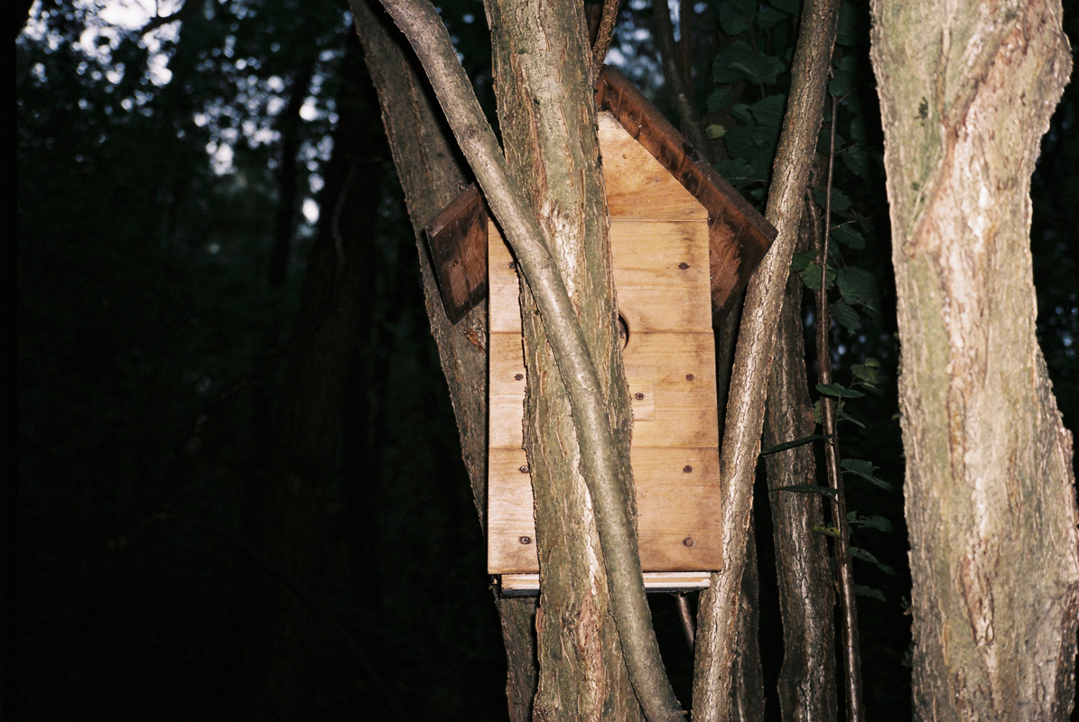 — Stepmother. Lena Ovchinnikova