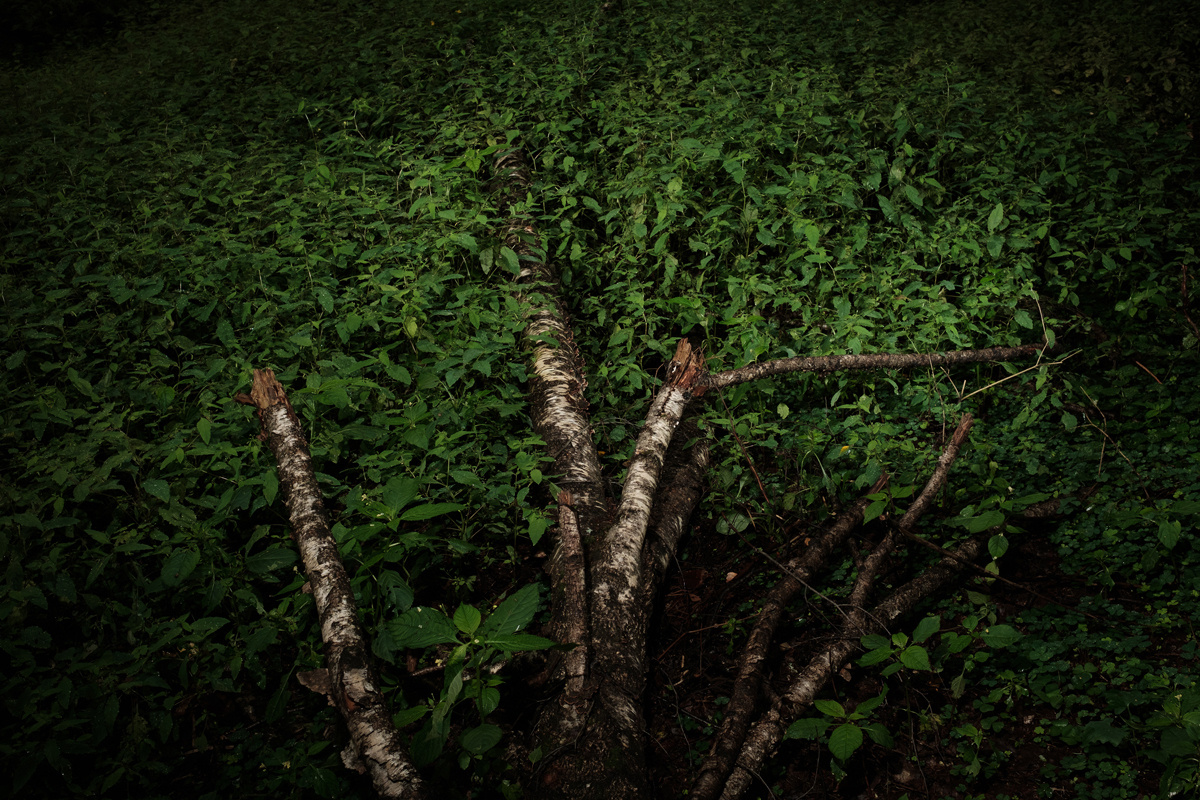 — Stepmother. Lena Ovchinnikova