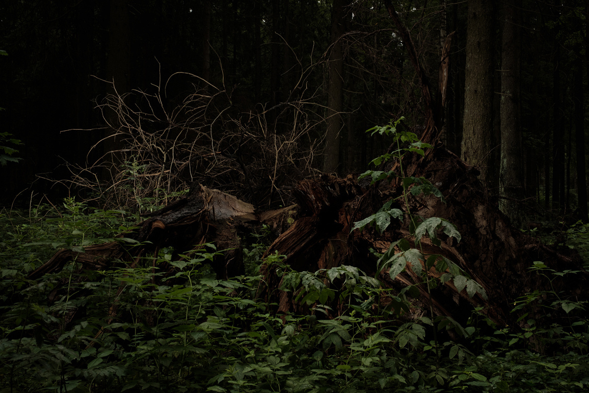 — Stepmother. Lena Ovchinnikova