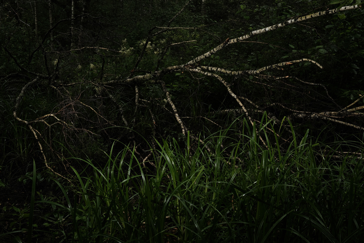 — Stepmother. Lena Ovchinnikova