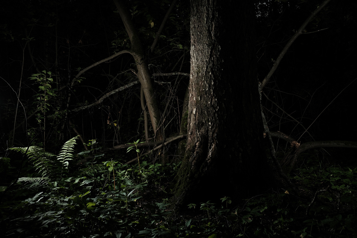 — Stepmother. Lena Ovchinnikova