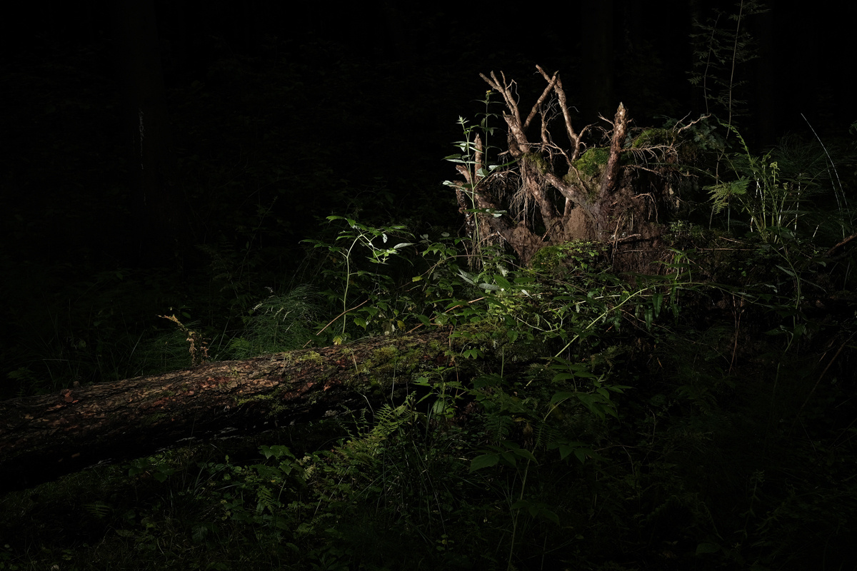 — Stepmother. Lena Ovchinnikova