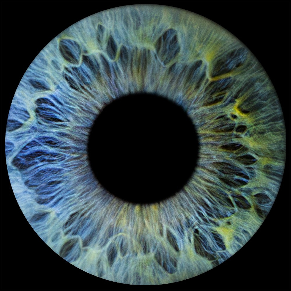 Радужка глаза — фотостудия. Фото радужки глаза LOOK IN