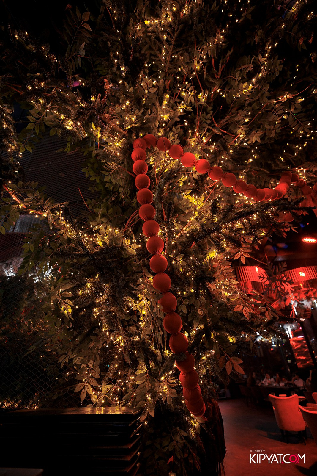 FRIENDS BAR & TERRACE. КИПЯТКОМ АЛМАТЫ! Фотосъемка мероприятий в Алматы