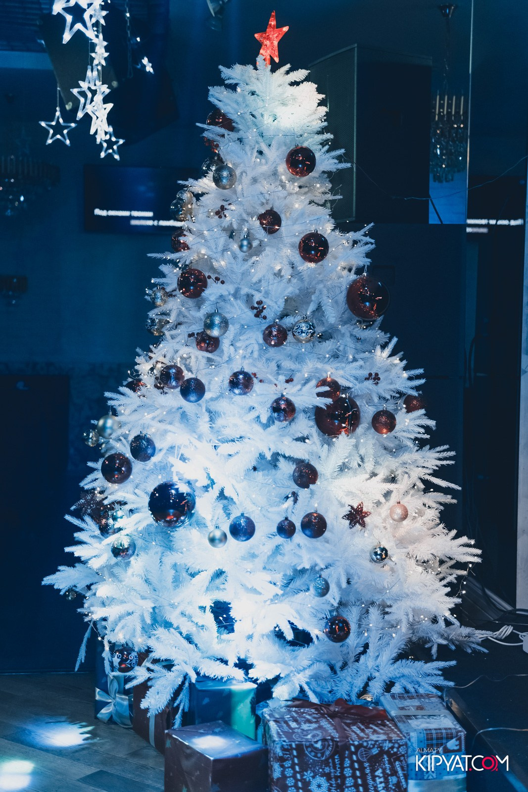 УХО И МЕДВЕДЬ НА КУРМАНГАЗЫ. КИПЯТКОМ АЛМАТЫ!