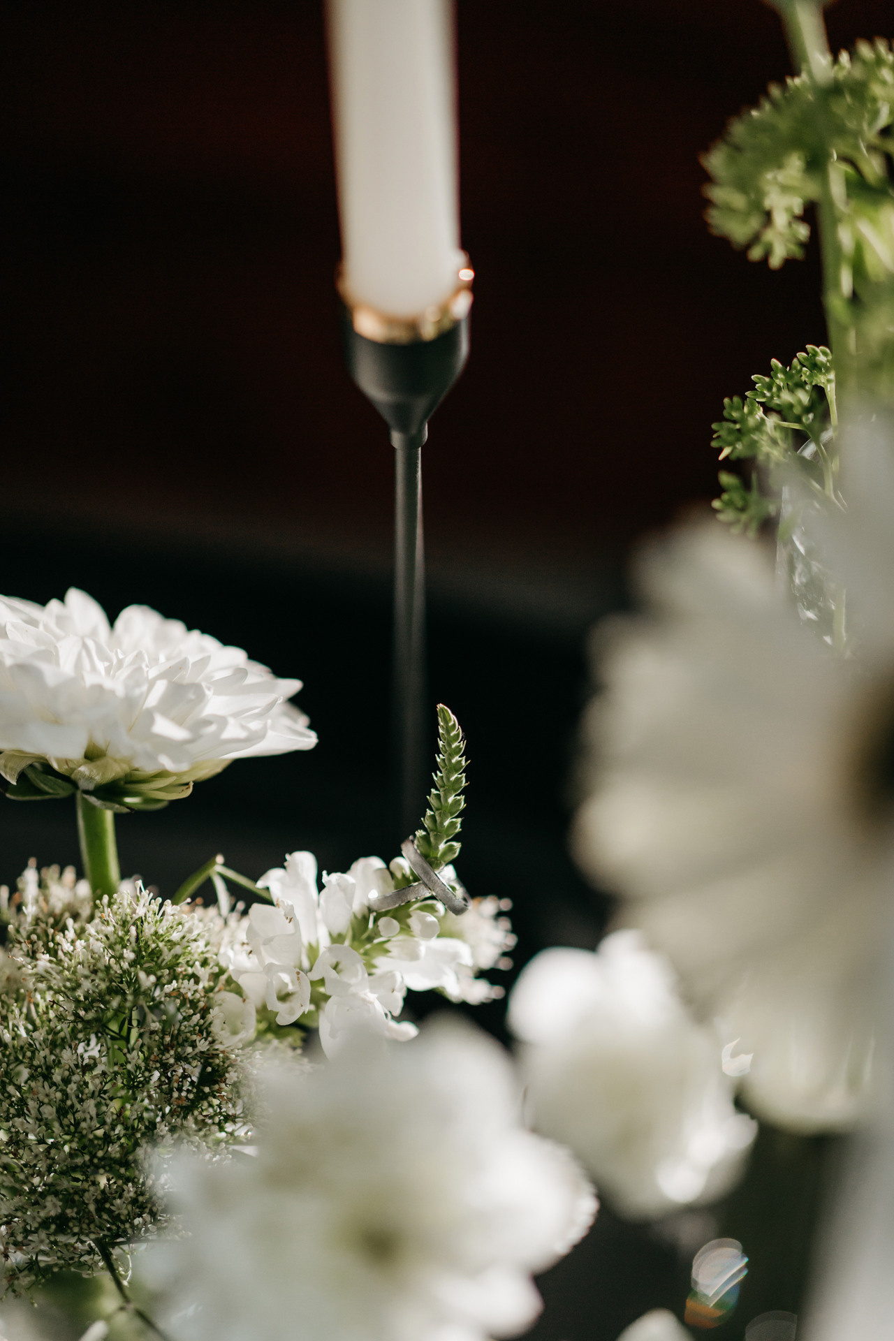 Л+Д. Фотографии о любви