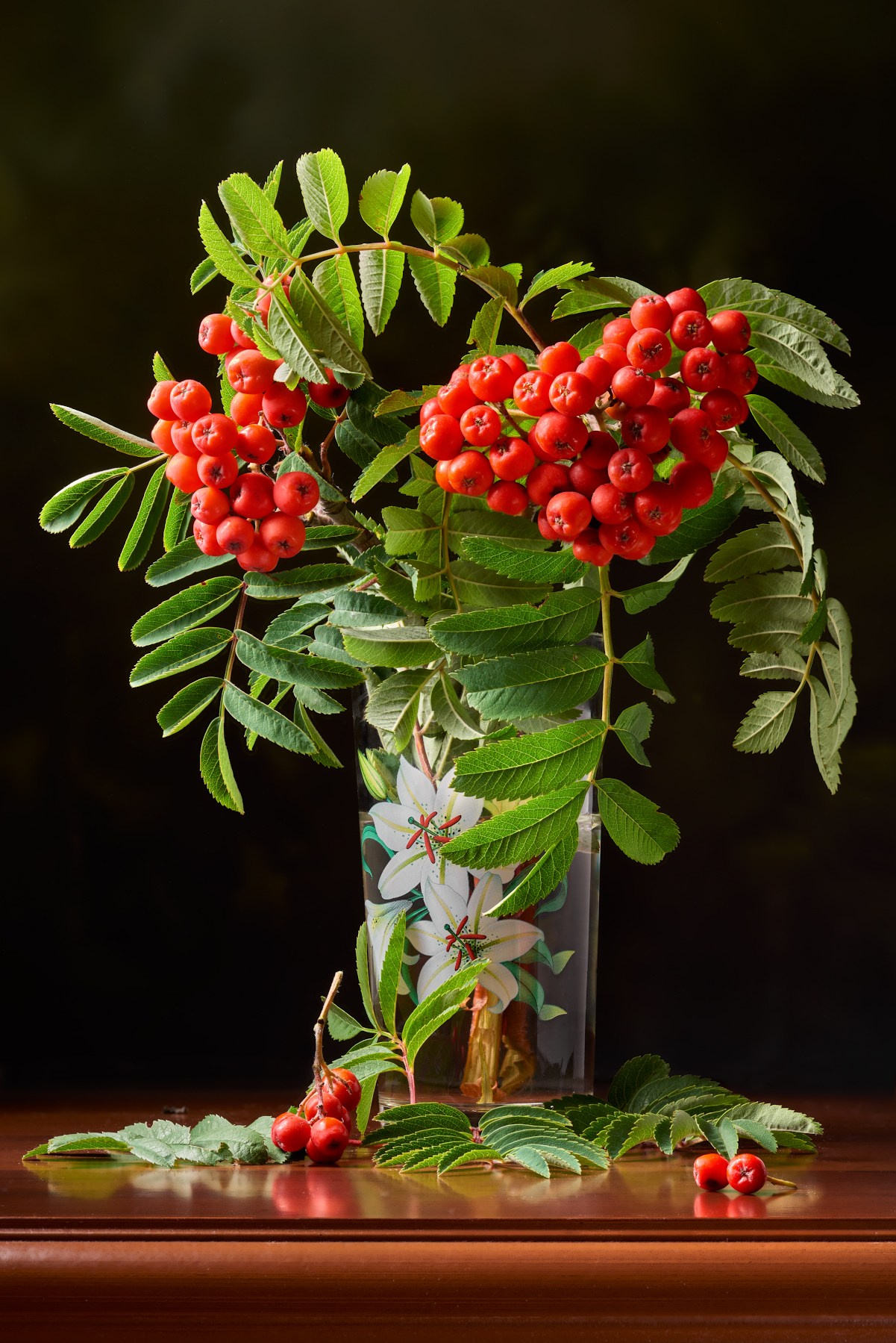 Художественный натюрморты, авторский стиль. Устремляясь ввысь… (фото от автора с ником Tom Fincher)