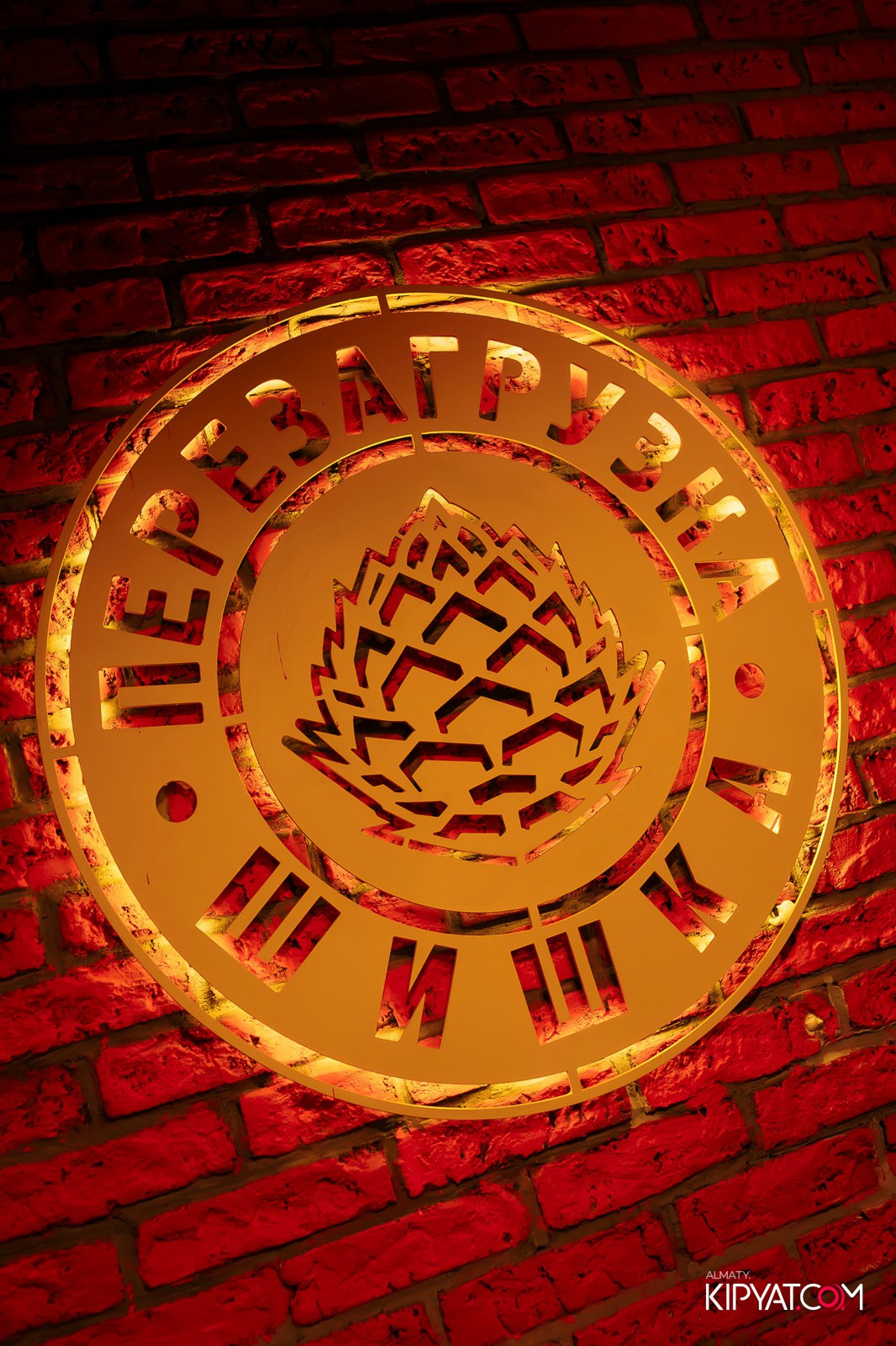 ШИШКА LOUNGE НА ЖИБЕК ЖОЛЫ. КИПЯТКОМ АЛМАТЫ! Фотосъемка мероприятий в Алматы