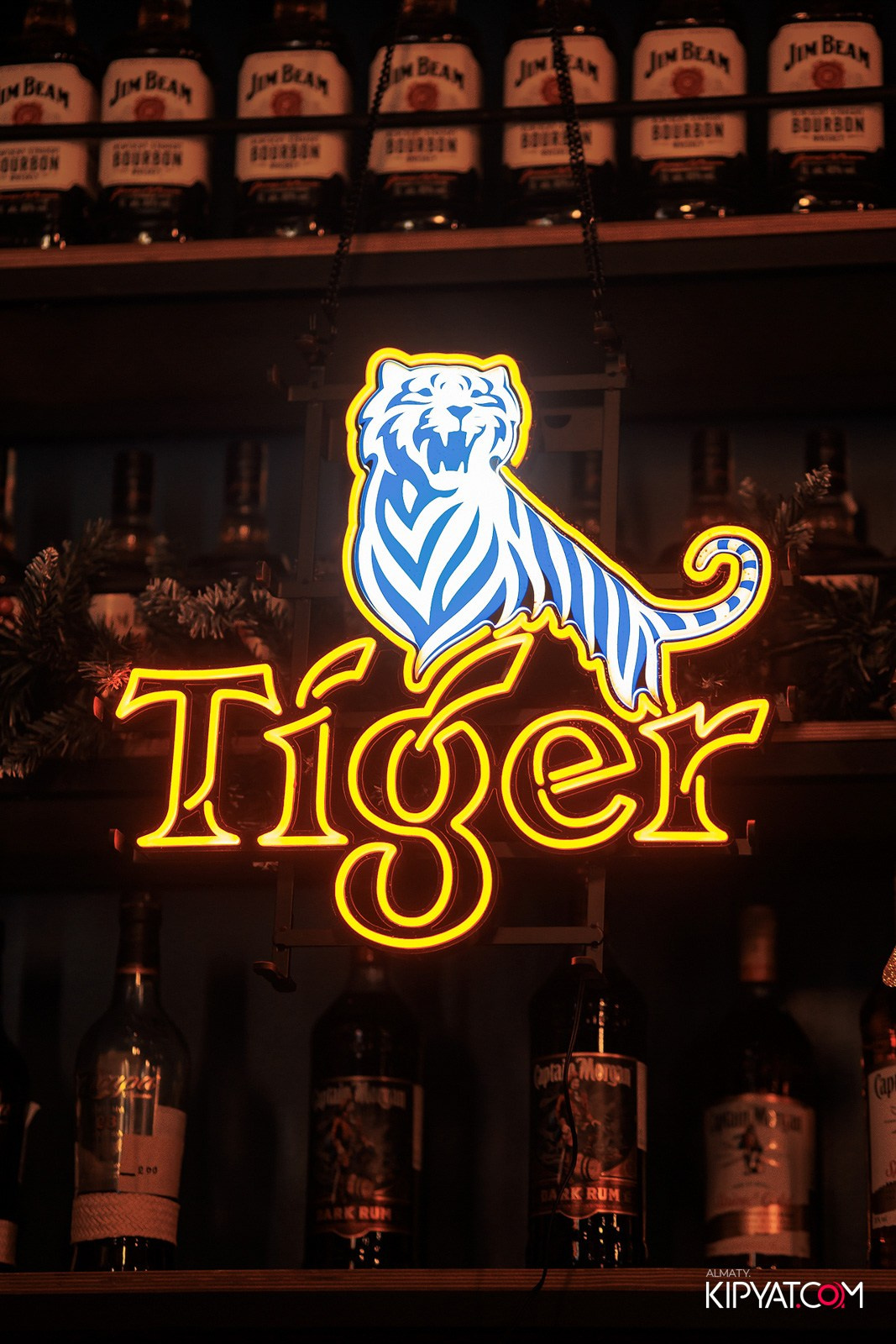 VICE CITY. КИПЯТКОМ АЛМАТЫ! Фотосъемка мероприятий в Алматы