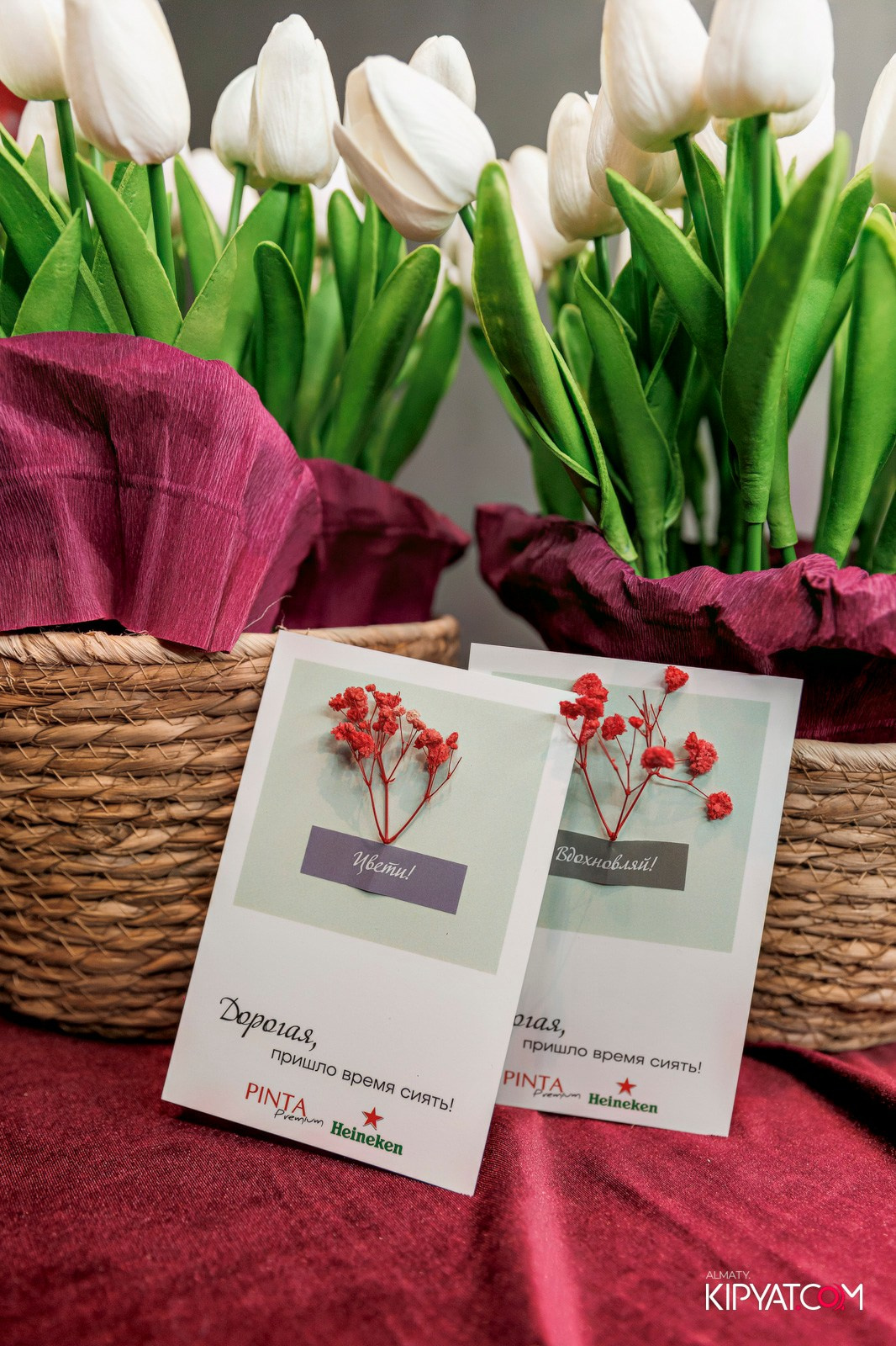 ПИНТА PREMIUM. КИПЯТКОМ АЛМАТЫ! Фотосъемка мероприятий в Алматы