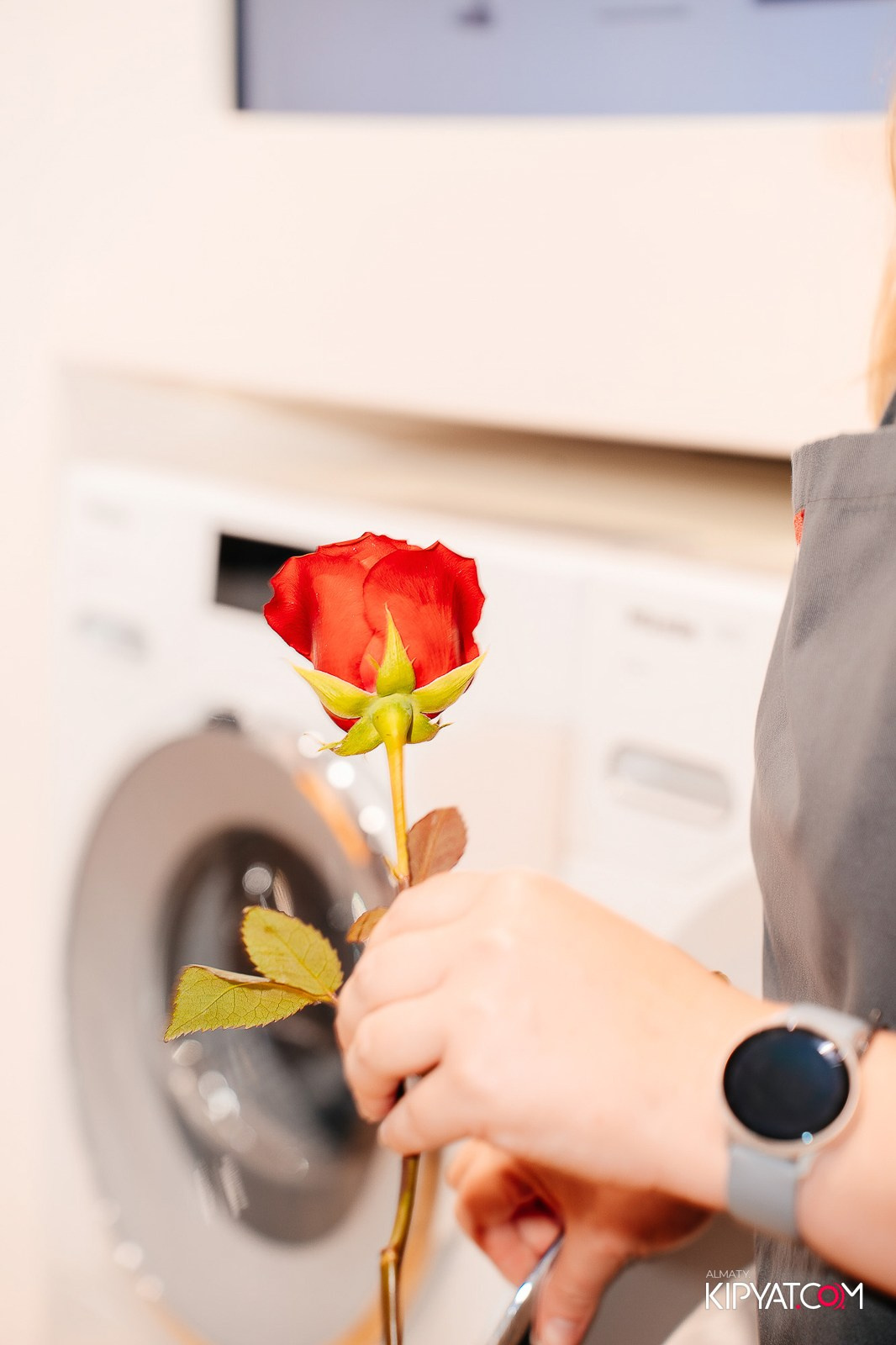 МАСТЕР-КЛАСС MIELE. КИПЯТКОМ АЛМАТЫ!