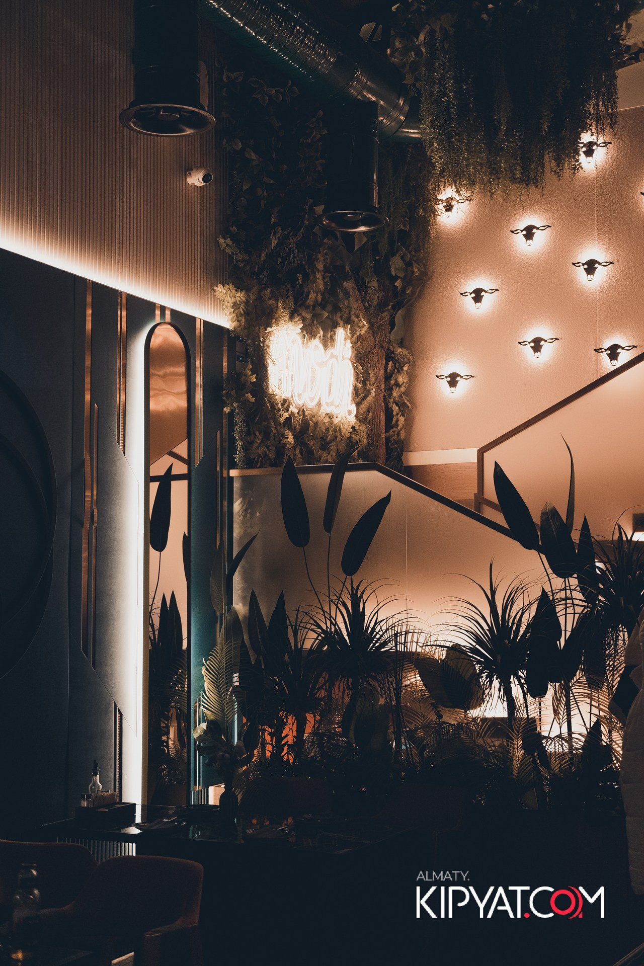 MODI RESTORANCHIK. КИПЯТКОМ АЛМАТЫ!