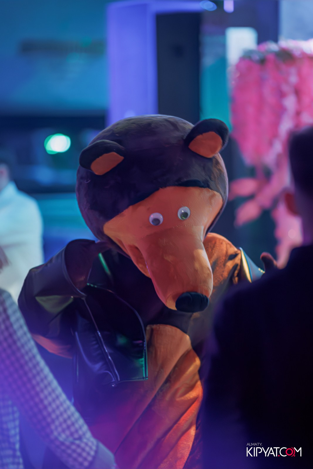 УХО И МЕДВЕДЬ НА КУРМАНГАЗЫ. КИПЯТКОМ АЛМАТЫ!