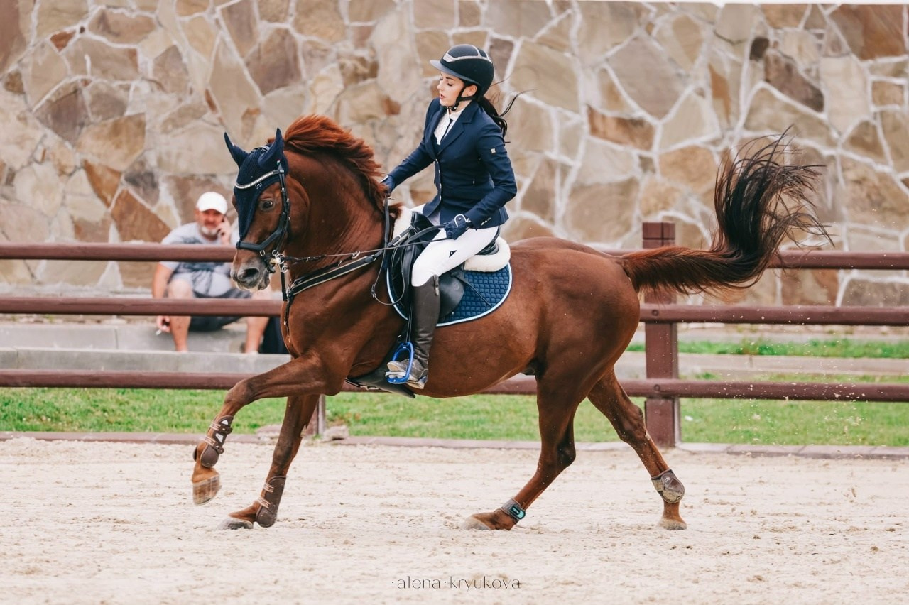 Летние соревнования. Фотосессии с лошадьми