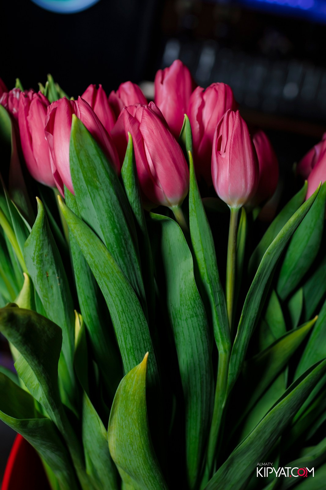 MYATA LOUNGE SEIFULLINA. КИПЯТКОМ АЛМАТЫ! Фотосъемка мероприятий в Алматы