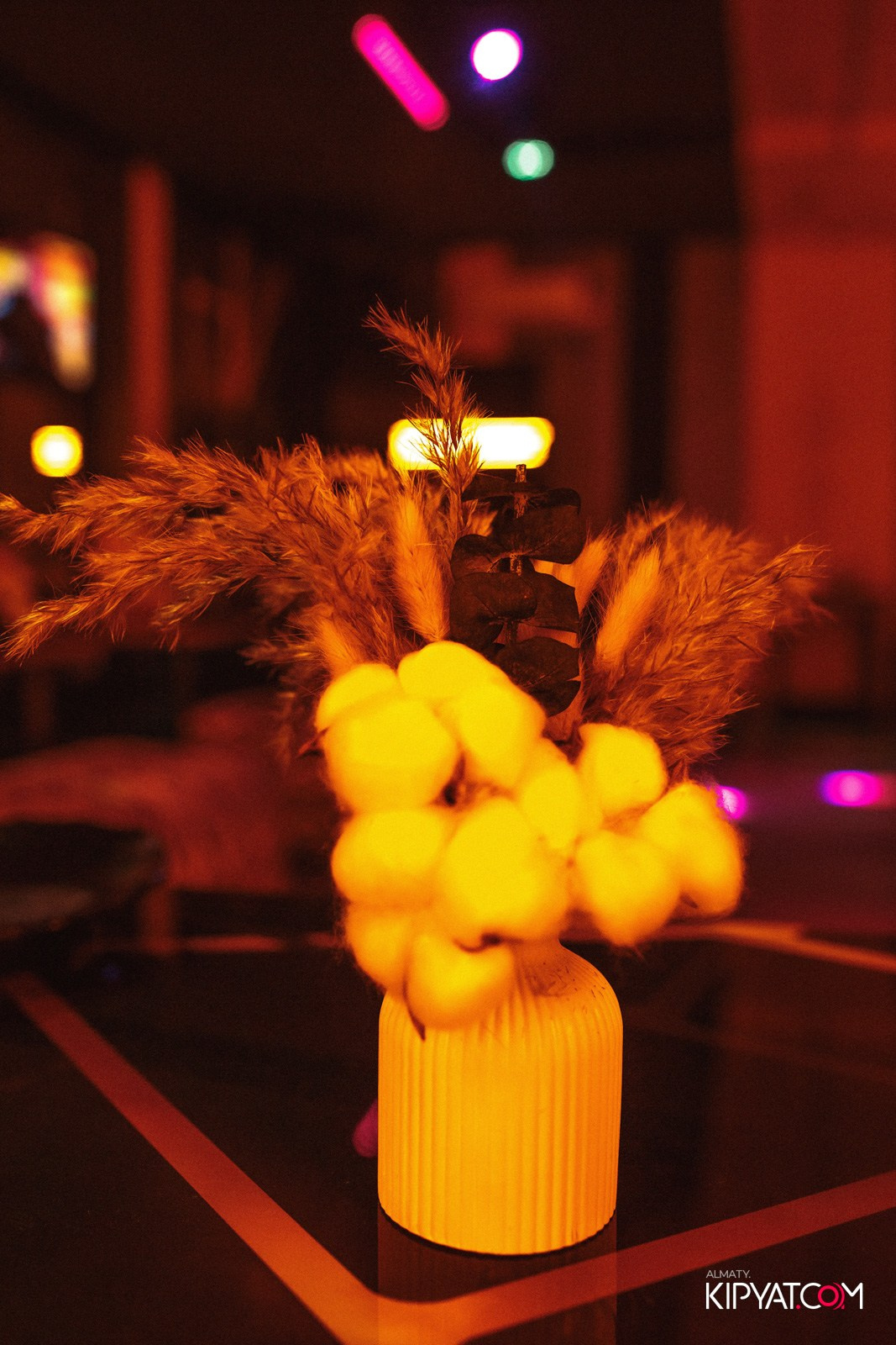 УХО И МЕДВЕДЬ НА ГАГАРИНА. КИПЯТКОМ АЛМАТЫ!