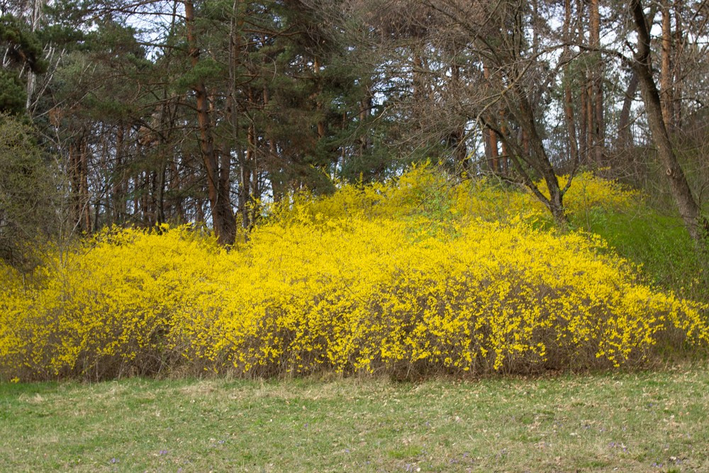 Кавказ. Детский и семейный фотограф в Екатеринбурге Екатерина Гильманова