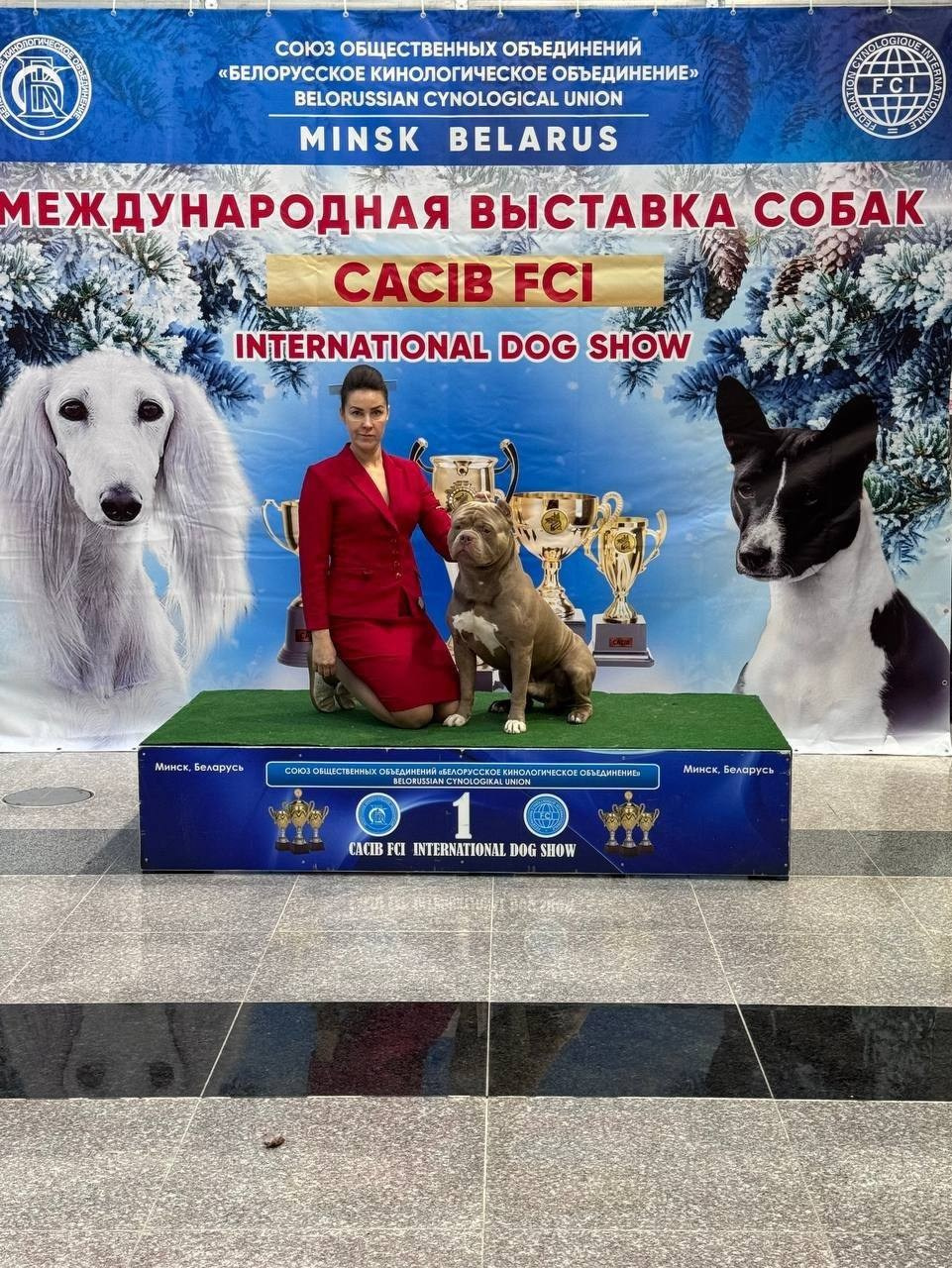 Участие в выставках. Американские булли XL в г. Калининград. Питомник Great Bully UNIVERSE