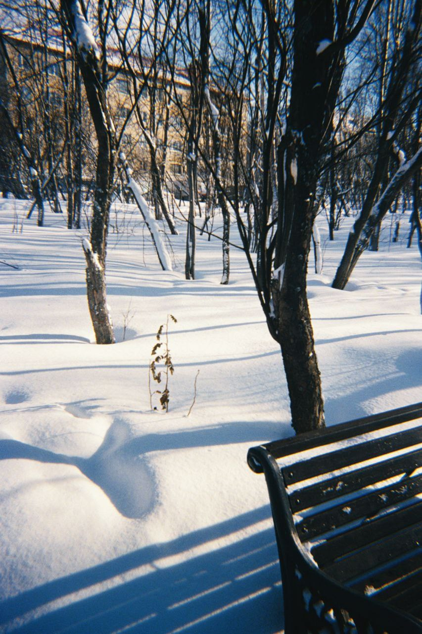 Пленочные кадры. Фотограф Алиса Аспер