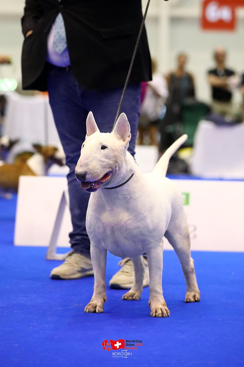 24-27.08.2023 WDS Geneva. Фотограф Дмитрий Бородин