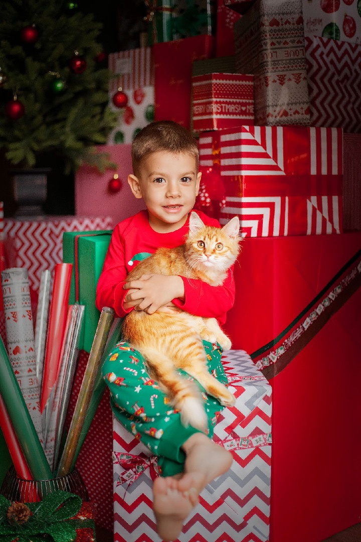 Дети. Детский, семейный, фотограф в Крыму и Севастополе Дарья Ваниосова