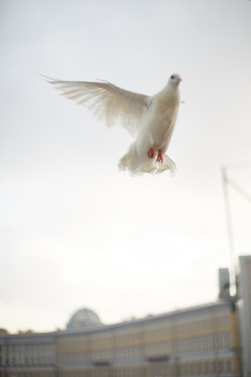 Свадебный фотограф спб. EKATERINOSLAVA PHOTOGRAPHY