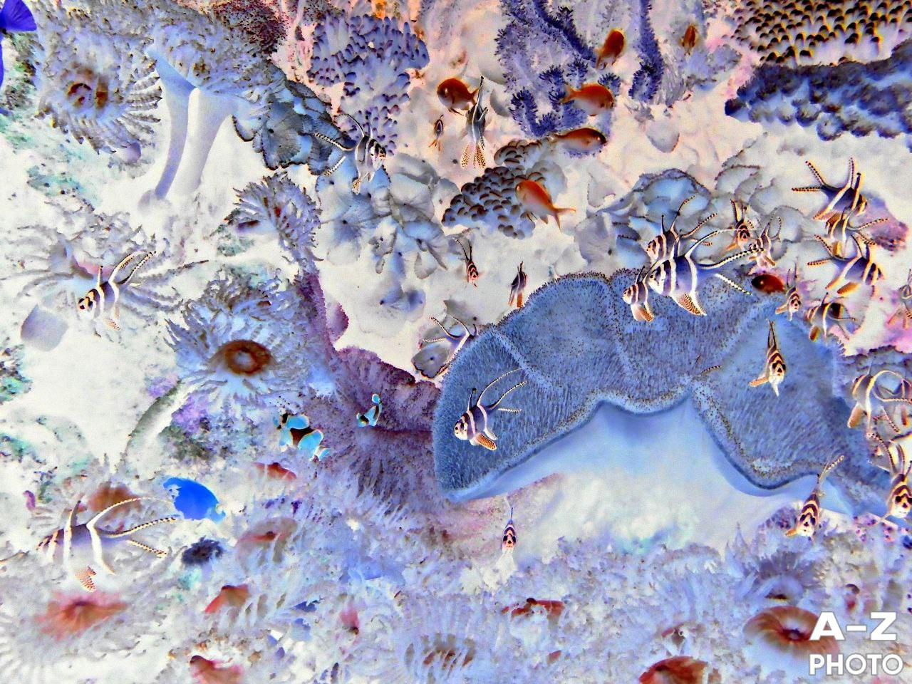 #ФОТОНЕДЕЛИ 12.01.2026. Женский семейный фотограф Тула Москва Захарова Анна