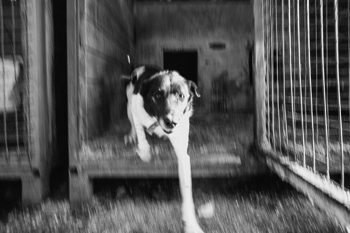 Синдром ожидания. Промышленная и репортажная фотография