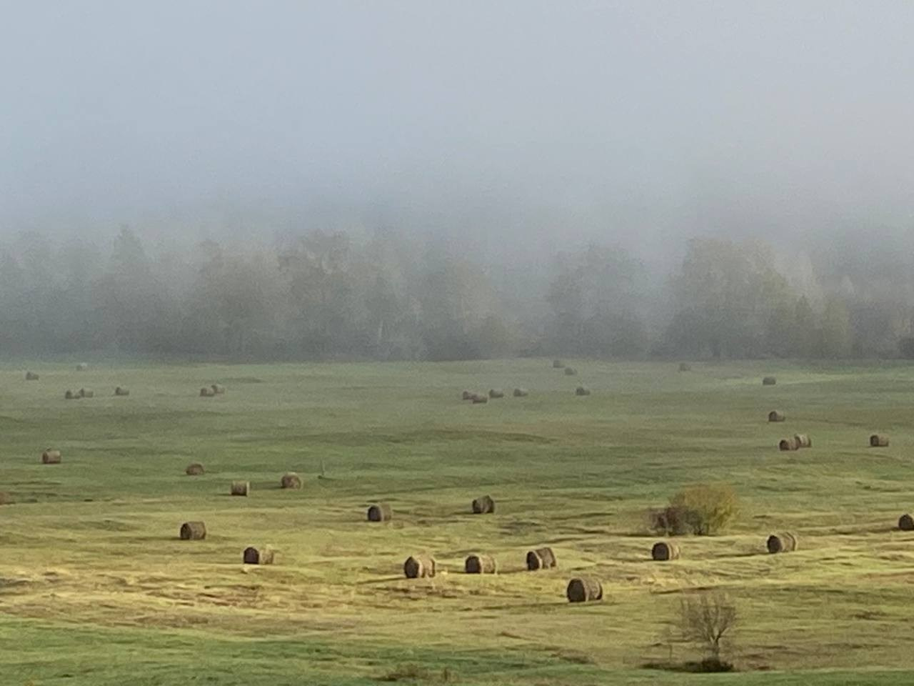 2024. Тащилин Сергей. Фотографии. Жизнь. Хобби