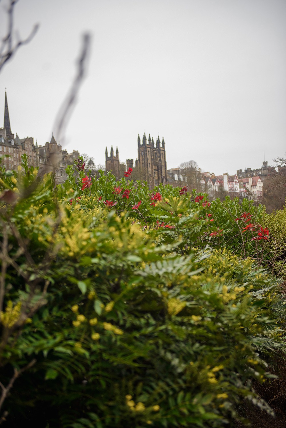 Photoshoot in Edinburgh City. Elena Carruthers family photographer in Scotland (Edinburgh, Glasgow)