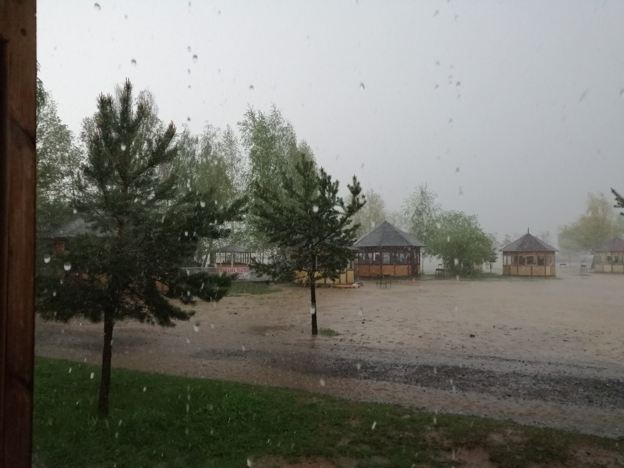 Шашлычки 10.05.2019. Галерея Фантим