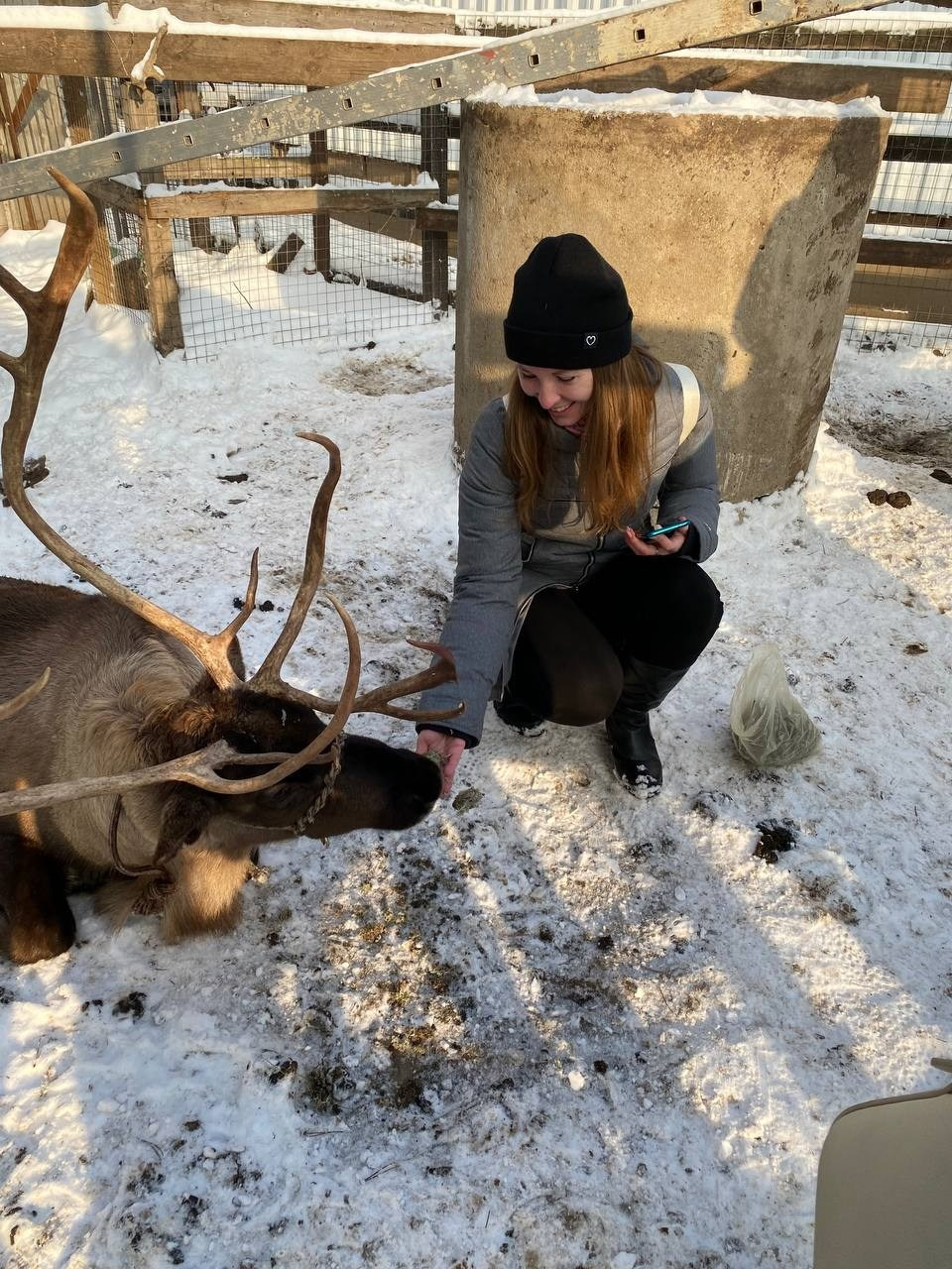 В гости к северным оленям | 02.12.2023. Галерея Фантим